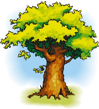 Oak clipart