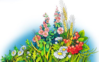 Wildflowers clipart