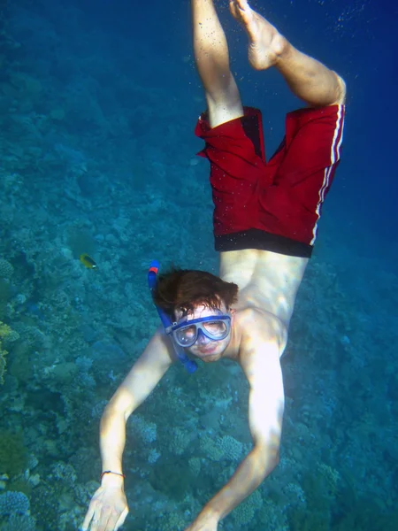 Homem mergulhar em azul profundo — Fotografia de Stock