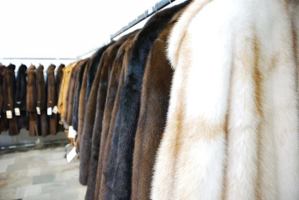 Fur shop — Stock Photo, Image