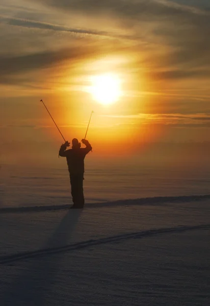 Stock image Skier on sunset