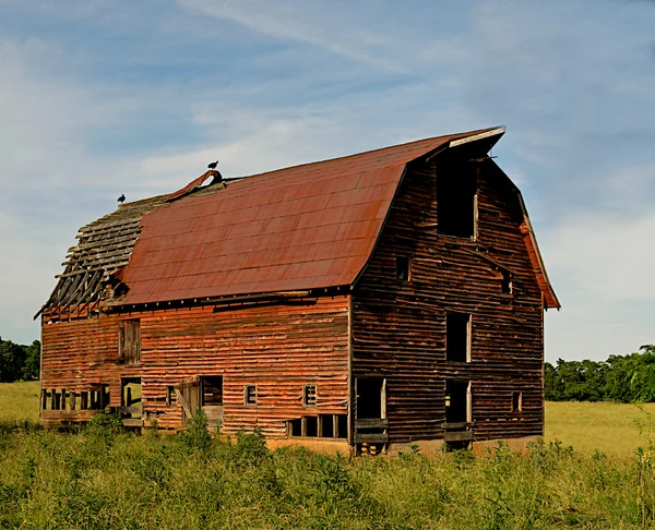 Opuštěné stodoly v zemi. — Stock fotografie