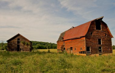 Two old abandoned barns in the country. clipart