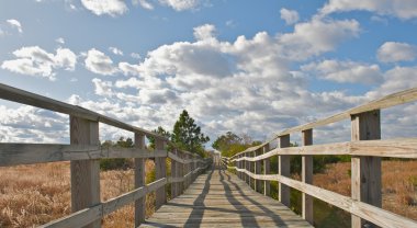 Wooden bridge leading to the beach. clipart