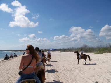 Horseback riding on the beach. clipart