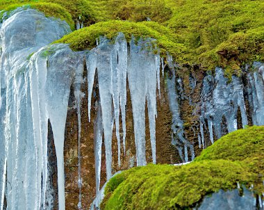 Icicles in Moss clipart