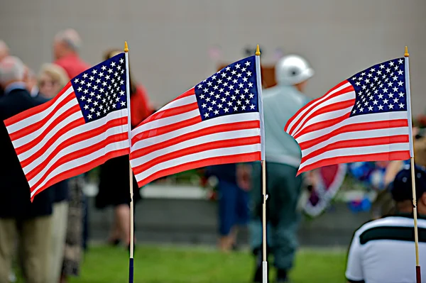 vatansever Amerikan bayrakları.