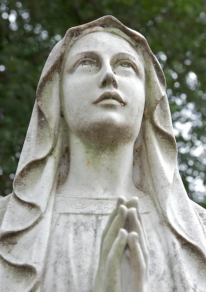 stock image Cemetary Headstone