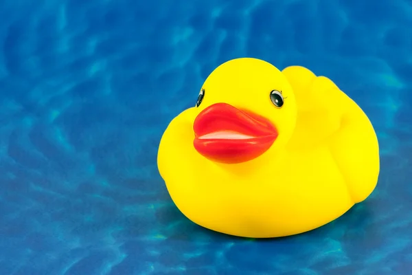 stock image Duckling. Toy