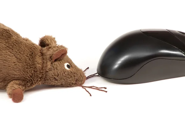 Rato de computador e um brinquedo — Fotografia de Stock