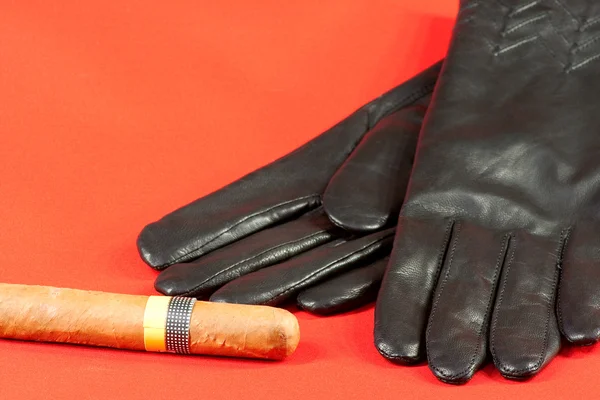 Handschoenen en sigaar — Stockfoto