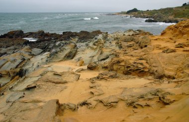 Landscape of Pebble beach clipart