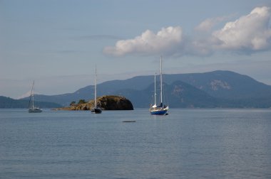 Lopez Adası sürüklenen yatlar