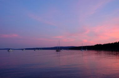 Boats at sunset in shore of Lopez Island clipart