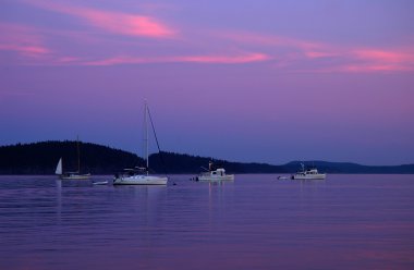 Boats at sunset in shore of Lopez Island clipart