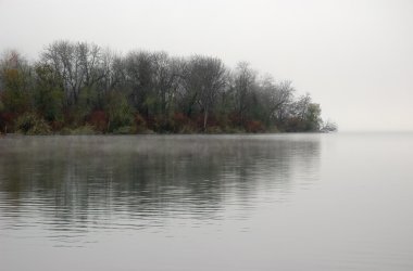 Foggy morning on the lake clipart