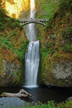 Multnomah falls clipart