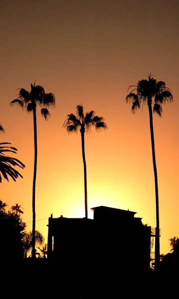 Three palms and a beachhouse at sunset — Stock Photo, Image