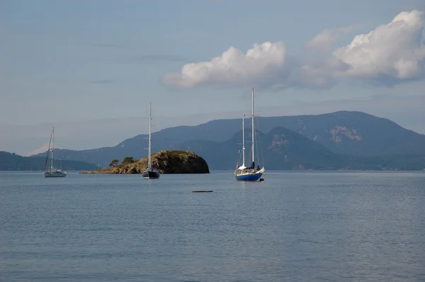 Jachty, unášení poblíž lopez island — Stock fotografie