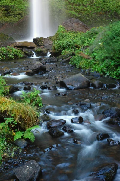 Downstream of Latourell falls — Stock Photo, Image