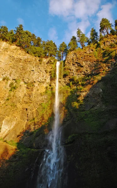 The top of Mulnomah falls view — Stock Photo, Image