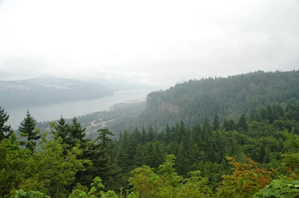 Mlha nad columbia river gorge — Stock fotografie