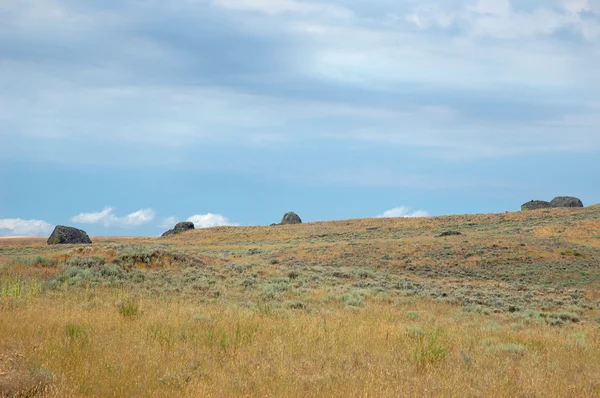 Eastern Washington steppe — Stock Photo, Image
