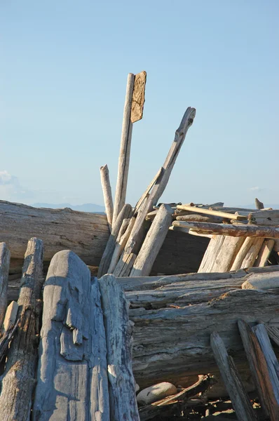 Refugio de madera a la deriva en la playa —  Fotos de Stock