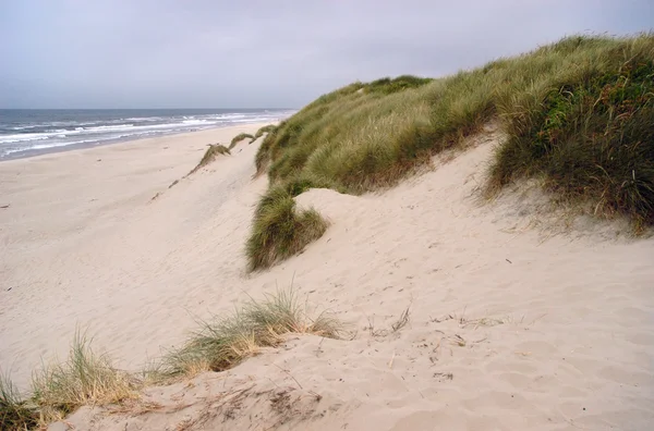 Oregon dunes peyzaj Stok Resim