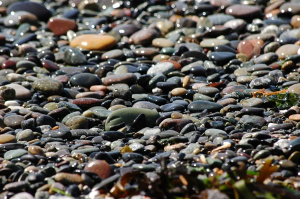 波光粼粼海滩鹅卵石 免版税图库照片