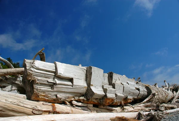 Madeira de troncos arredondada — Fotografia de Stock