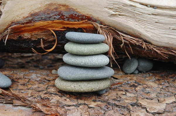 Armonía de madera y piedra — Foto de Stock