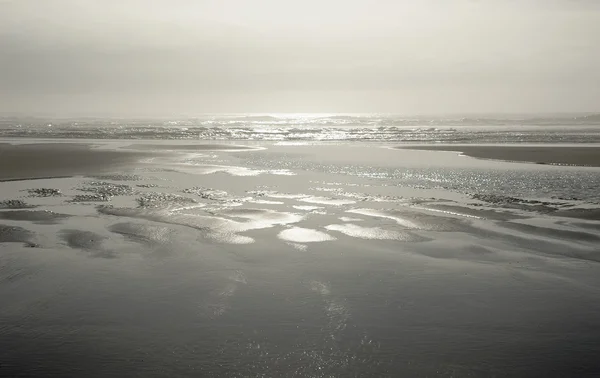 Luz solar e neblina na costa — Fotografia de Stock
