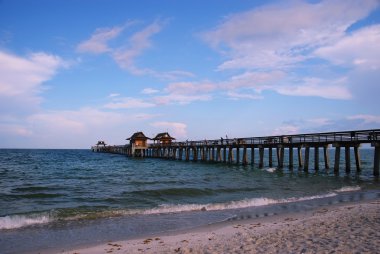 naples beach, florida iskelede Balık tutma