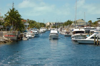 Key largo Kanallar