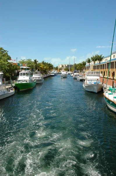 Key Largo Canals Royalty Free Stock Images