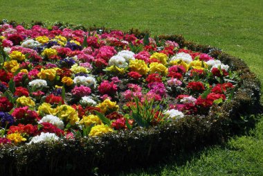 Flowerbed clipart