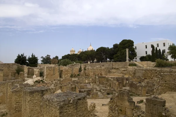 Ruins of Carthage — Stock Photo, Image