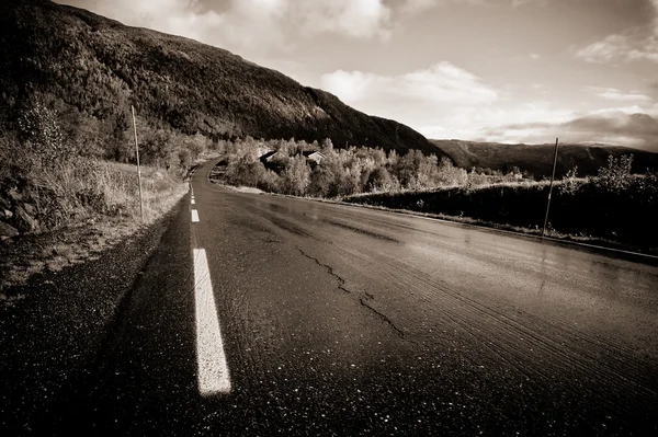 Scandinavian road — Stock Photo, Image