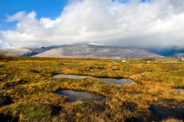 Norwegian landscape — Stock Photo, Image