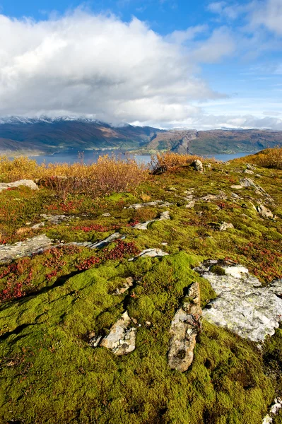 Norjan maisema — kuvapankkivalokuva
