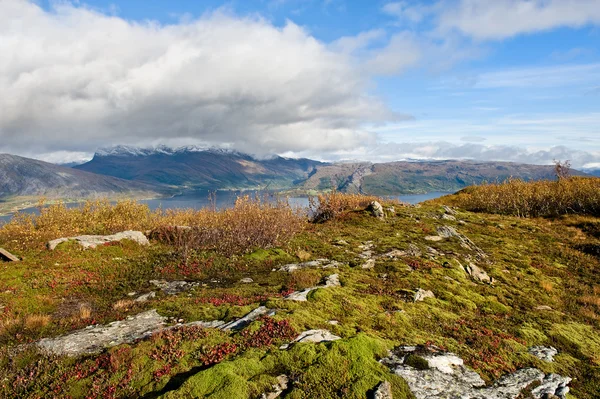 stock image Norwegian landscape