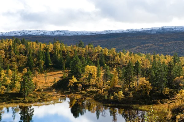 Nordic krajobraz — Zdjęcie stockowe