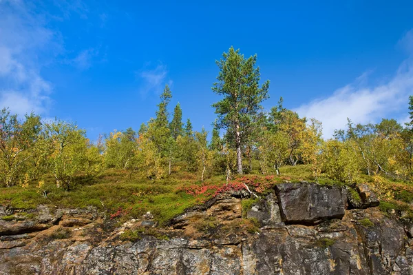 Paesaggio nordico — Foto Stock