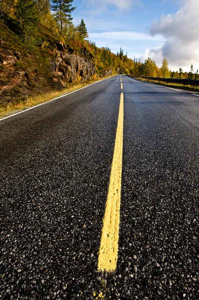 Scandinavian road — Stock Photo, Image