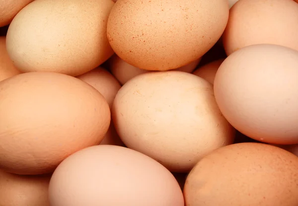 stock image Eggs