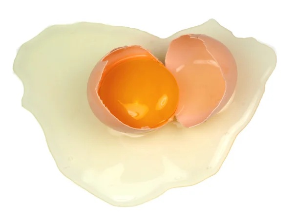 stock image Egg