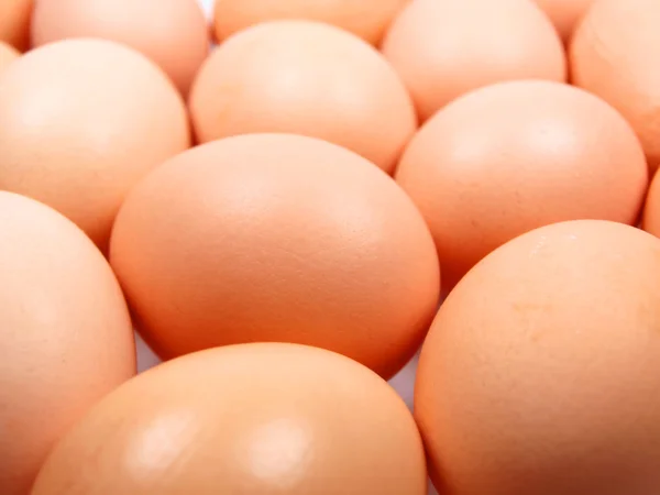 Stock image Eggs