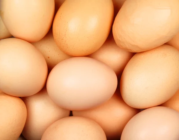 stock image Eggs