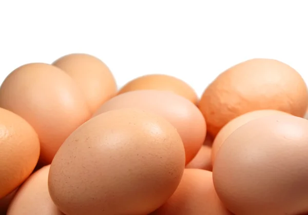 stock image Eggs